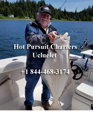 Hot Pursuit Charters