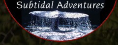 Subtidal Adventures Ucluelet