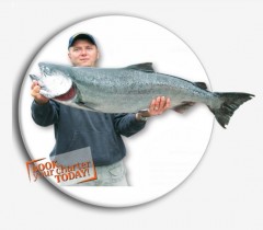 Tailspin Charters Victoria