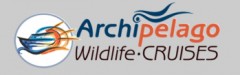 Archipelago Wildlife Cruses Ucluelet