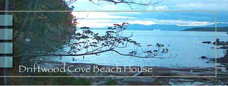 Driftwood Cove Beach House